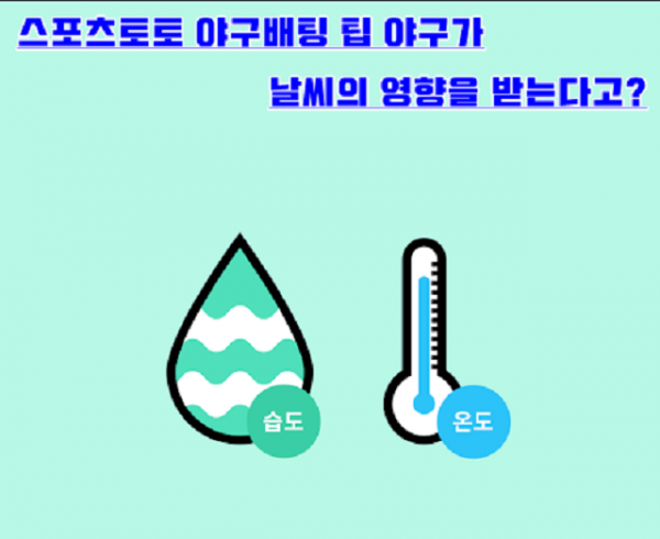 온라인커뮤니티-온라인토토-야구토토.png