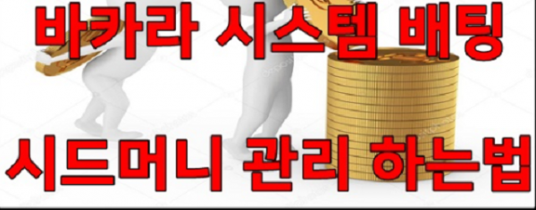 바카라 시스템,바카라 마틴게일,바카라 크루즈.png