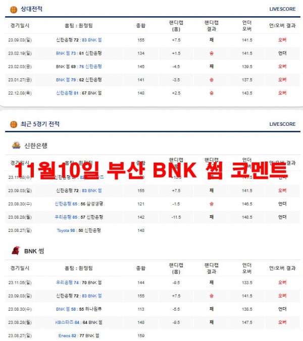 11월10일 부산 BNK 썸 코멘트