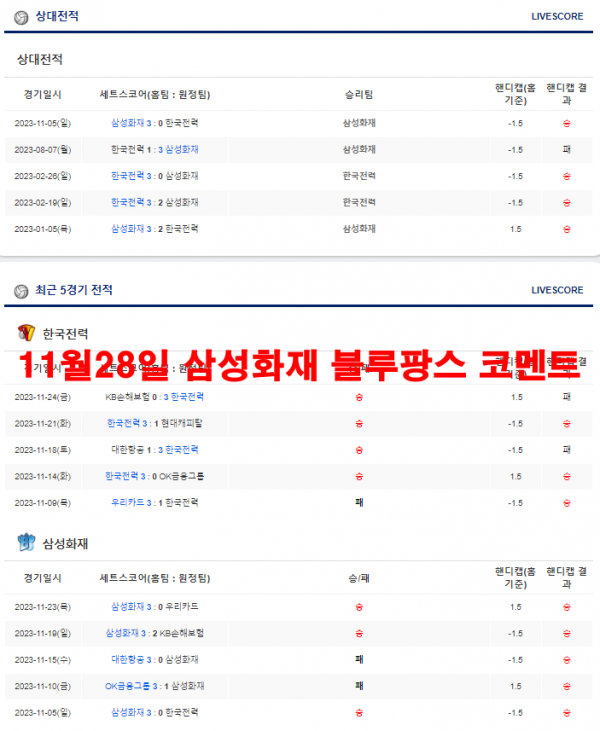 11월28일 삼성화재 블루팡스 코멘트