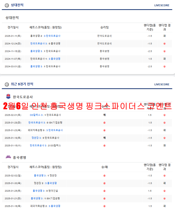 2월6일 인천 흥국생명 핑크스파이더스 코멘트