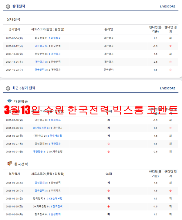 3월13일 수원 한국전력 빅스톰 코멘트