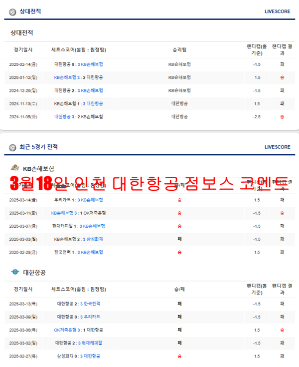 3월18일 인천 대한항공 점보스 코멘트